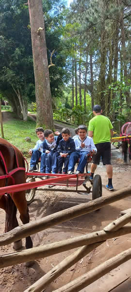 Bicho Mania 2022